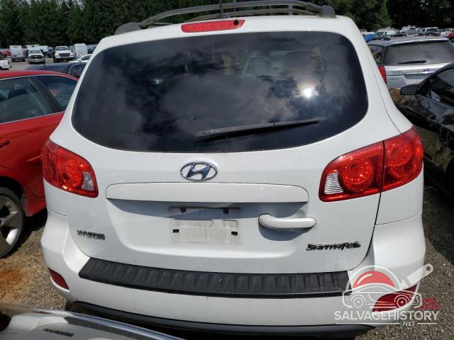 5NMSG13D29H318871 2009 HYUNDAI SANTA FE photo no. 6