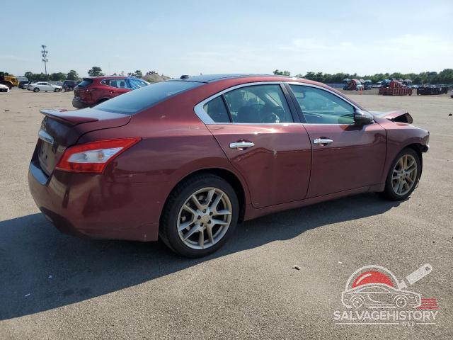 1N4AA5AP5BC848750 2011 NISSAN MAXIMA photo no. 3