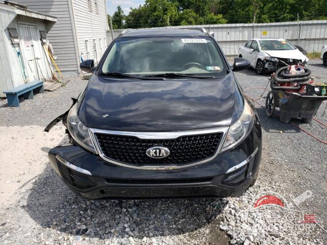 KNDPB3AC7G7811556 2016 KIA SPORTAGE photo no. 5