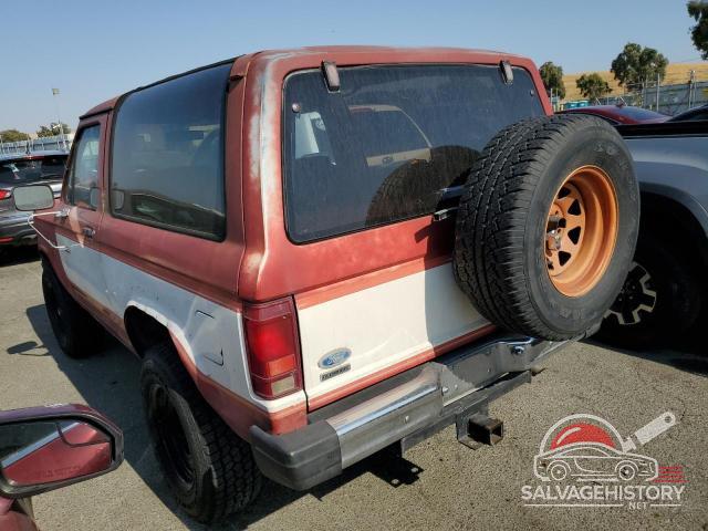 1FMCU14S4FUD40784 1985 FORD BRONCO photo no. 2
