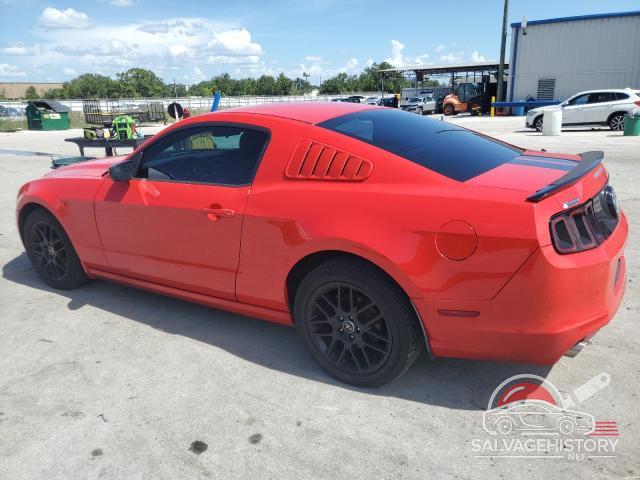 1ZVBP8AM0E5300407 2014 FORD ALL Models photo no. 2