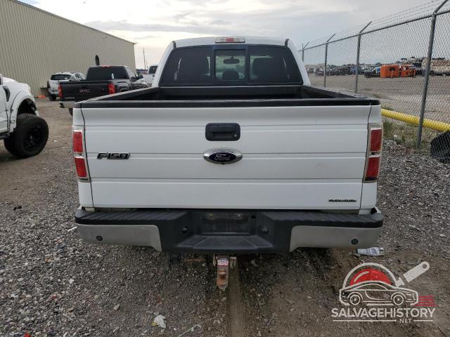 1FTFX1EF6DKF11716 2013 FORD F-150 photo no. 6