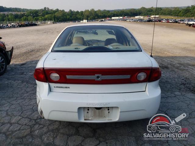 1G1JC52F837247765 2003 CHEVROLET CAVALIER photo no. 6