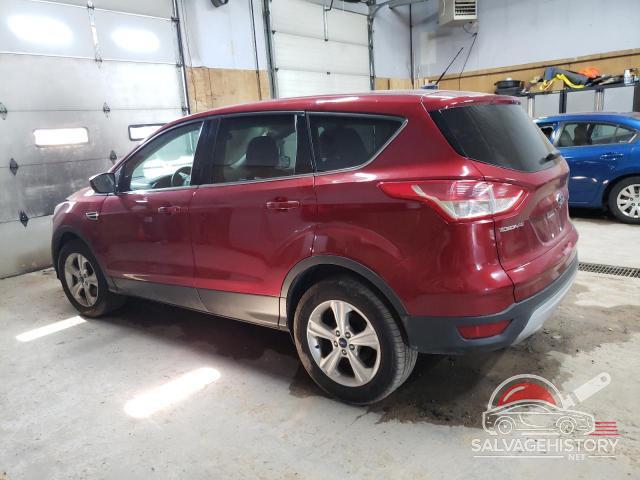 1FMCU9GXXEUD64950 2014 FORD ESCAPE photo no. 2