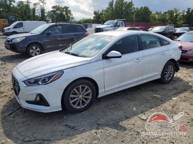 5NPE24AF4KH766376 2019 HYUNDAI SONATA photo no. 17