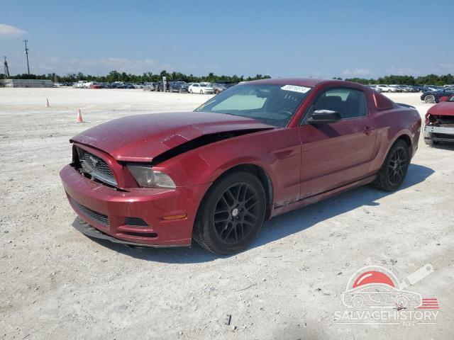 1ZVBP8AM1E5298280 2014 FORD ALL Models photo no. 12