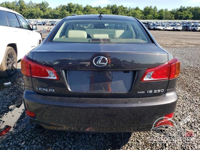 JTHCF5C26A5036073 2010 LEXUS IS photo no. 6