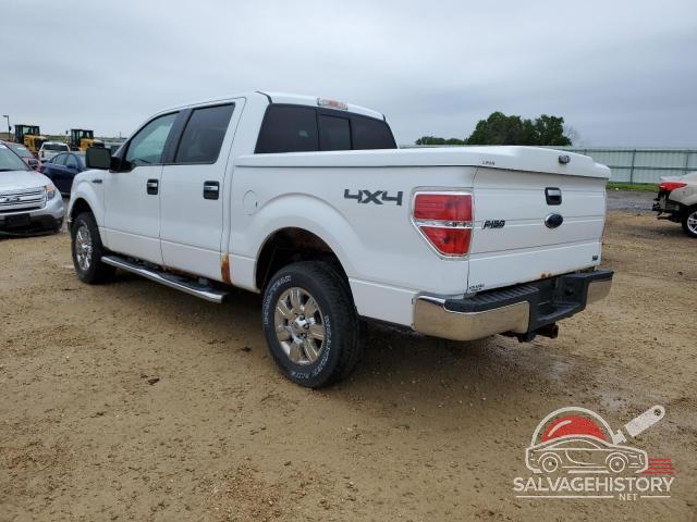 1FTFW1EV2AFD30806 2010 FORD F-150 photo no. 2