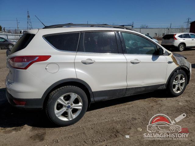 1FMCU0GX0EUC11490 2014 FORD ESCAPE photo no. 3
