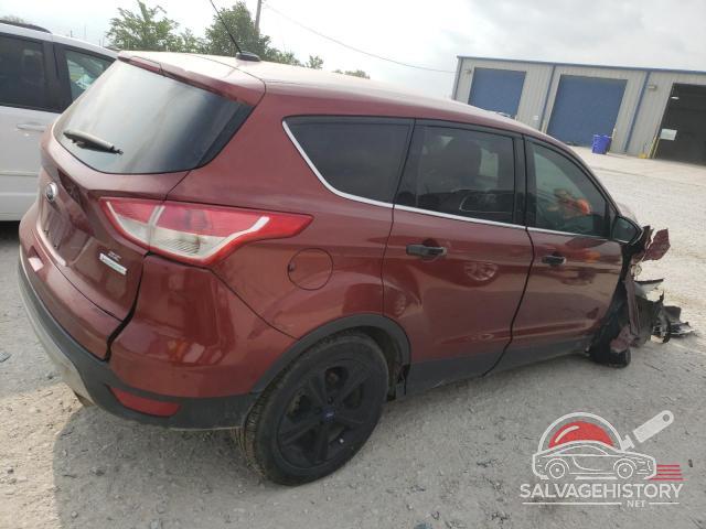 1FMCU0GX0EUE51364 2014 FORD ESCAPE photo no. 3