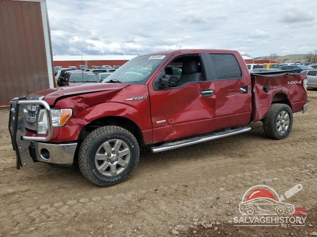 1FTFW1ET1DKD07589 2013 FORD F-150 photo no. 21