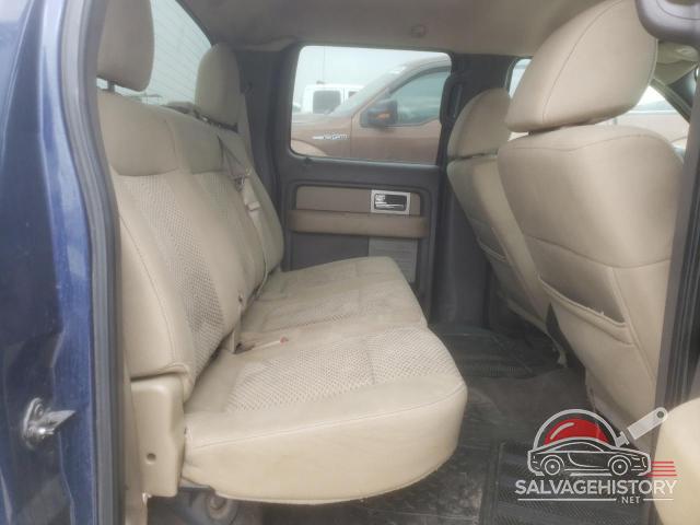 1FTFW1CV3AFA06685 2010 FORD F-150 photo no. 10