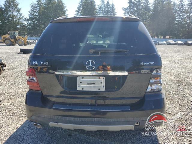 4JGBB86E78A355012 2008 MERCEDES-BENZ M-CLASS photo no. 6