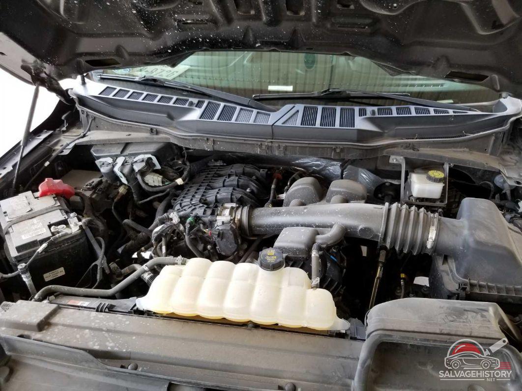 1FTMF1CB9MKF07489 2021 FORD F-150 photo no. 7