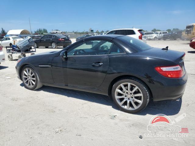 WDDPK3JA4GF120561 2016 MERCEDES-BENZ SLK-CLASS photo no. 2