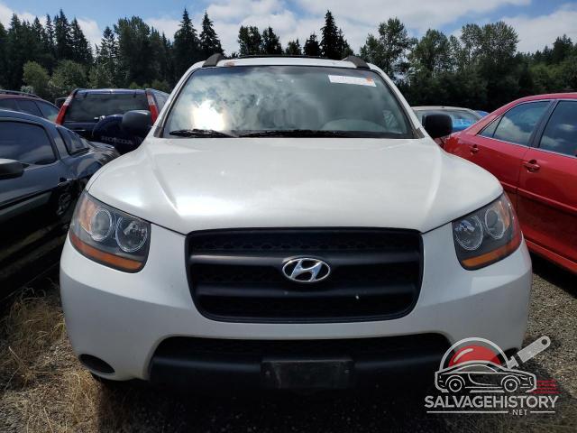 5NMSG13D29H318871 2009 HYUNDAI SANTA FE photo no. 5