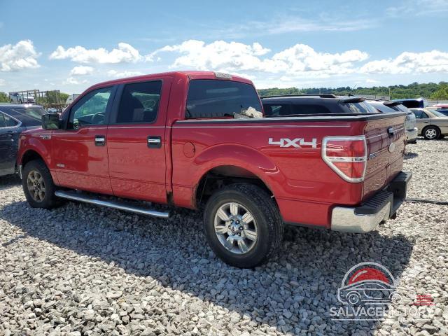 1FTFW1ET0BFA70504 2011 FORD F-150 photo no. 2