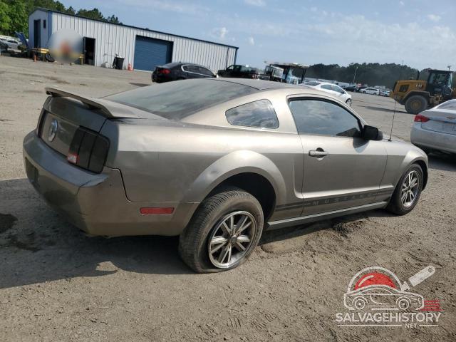 1ZVFT80N855179438 2005 FORD ALL Models photo no. 3