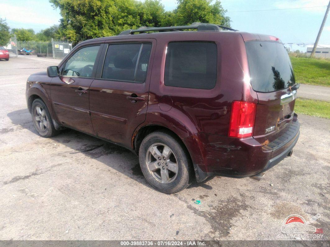 5FNYF4H42AB023914 2010 HONDA PILOT photo no. 3