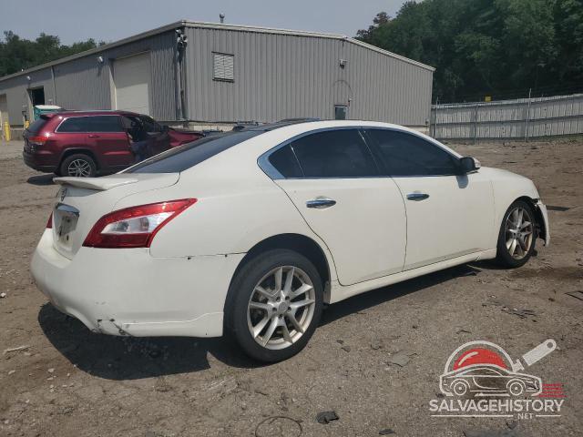 1N4AA5AP0AC841221 2010 NISSAN MAXIMA photo no. 3