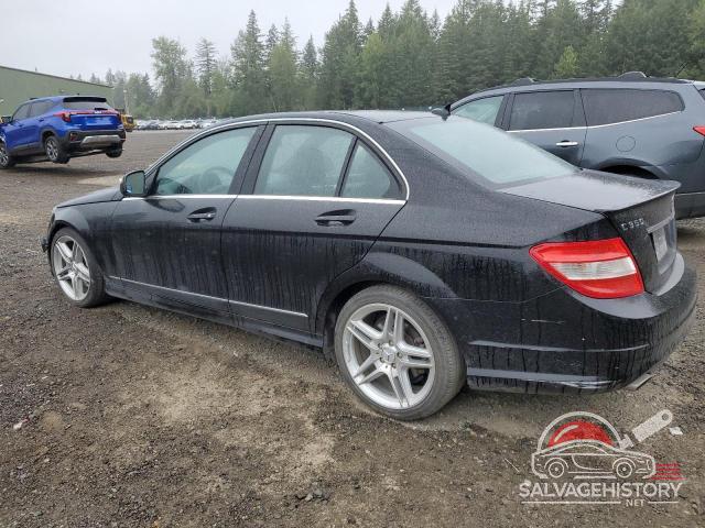 WDDGF56X49R056892 2009 MERCEDES-BENZ C-CLASS photo no. 2