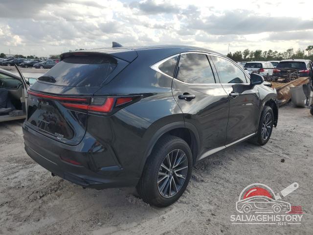 2T2GGCEZ5NC011054 2022 LEXUS NX 350 photo no. 3