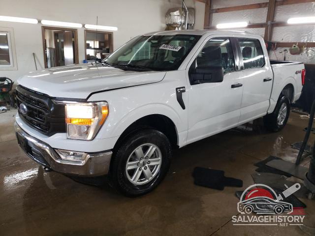 1FTEW1EP5MFD12463 2021 FORD F-150 photo no. 7