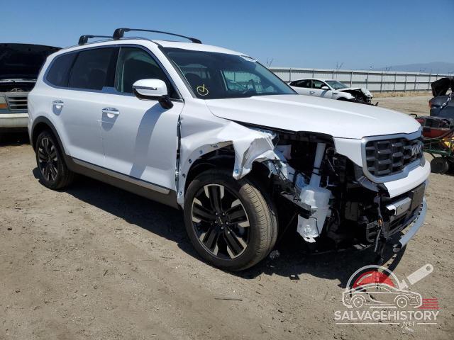 5XYP54GC6RG464747 2024 KIA TELLURIDE photo no. 4