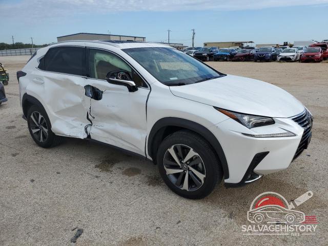 JTJYARBZ1K2135976 2019 LEXUS NX photo no. 4