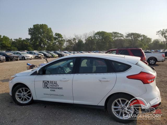 1FADP3K2XGL247537 2016 FORD FOCUS photo no. 2