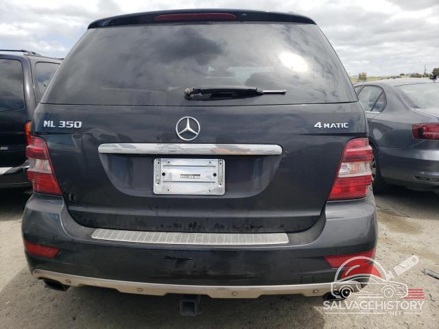4JGBB86EX9A493323 2009 MERCEDES-BENZ M-CLASS photo no. 6