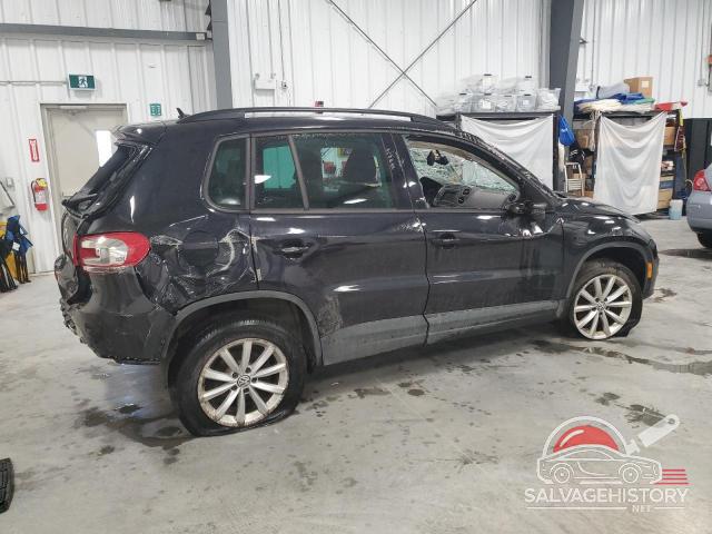 WVGJV7AXXGW610954 2016 VOLKSWAGEN TIGUAN photo no. 3
