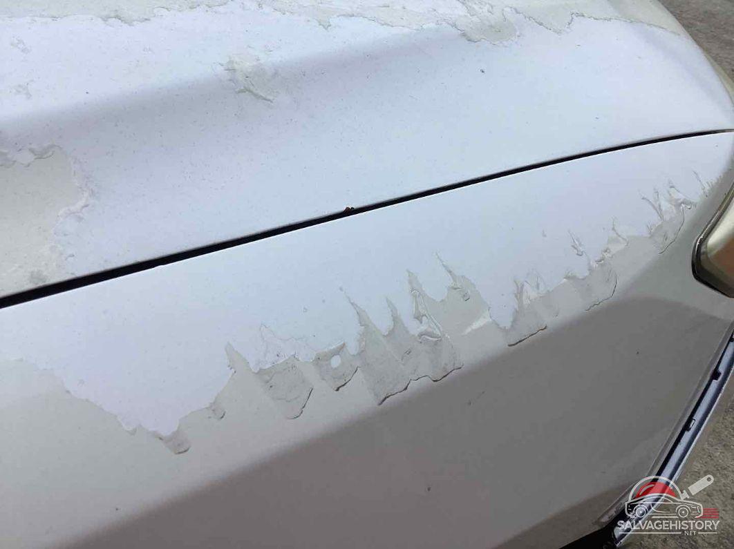4T1BF1FK5EU417731 2014 TOYOTA CAMRY photo no. 10