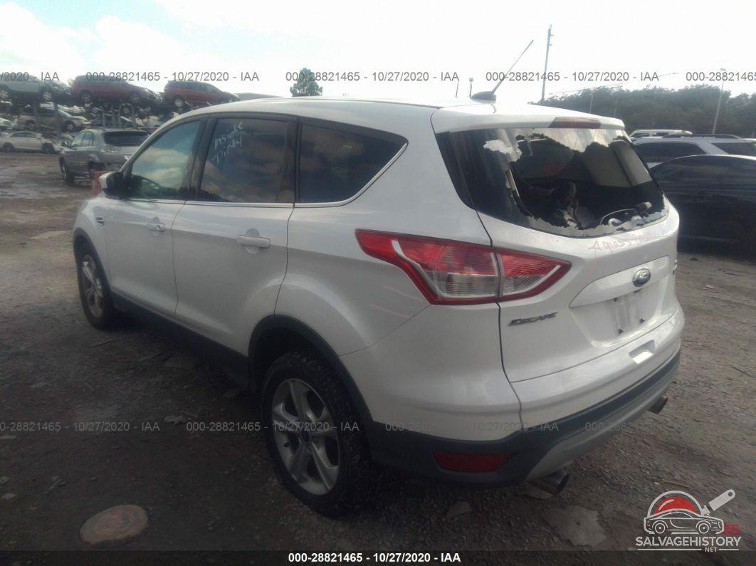 1FMCU0GX3FUB24927 2015 FORD ESCAPE photo no. 3