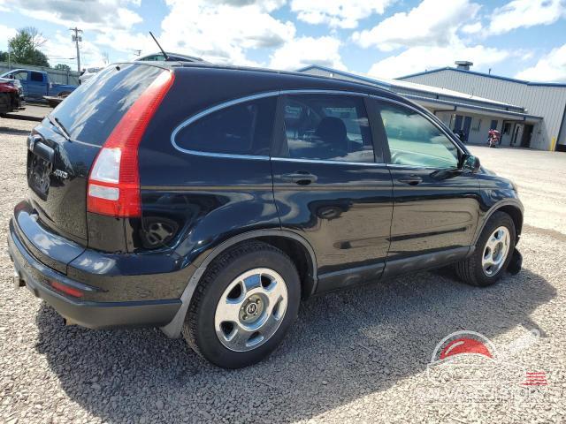 5J6RE4H33AL021451 2010 HONDA CRV photo no. 3