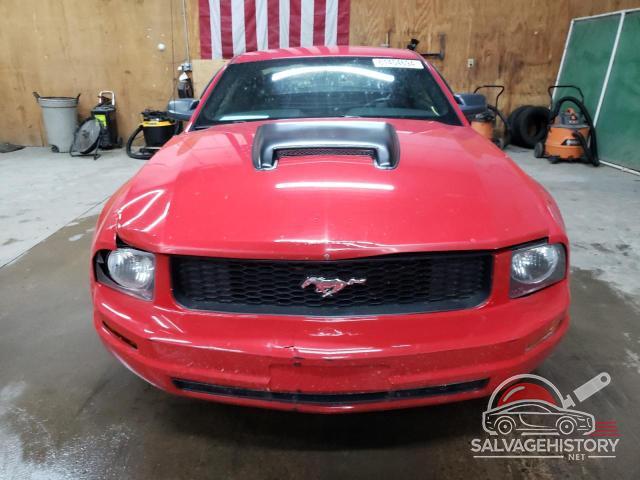 1ZVFT80N675299497 2007 FORD ALL Models photo no. 5