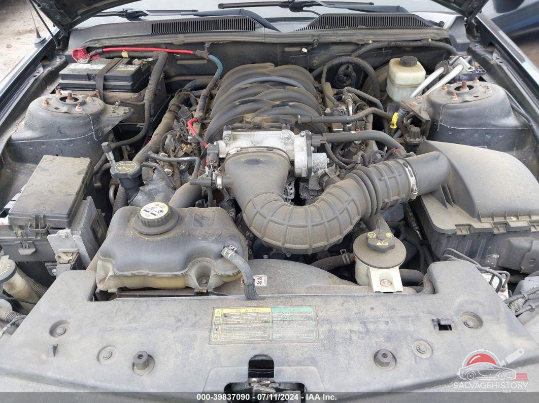 1ZVHT85H165106036 2006 FORD MUSTANG photo no. 10