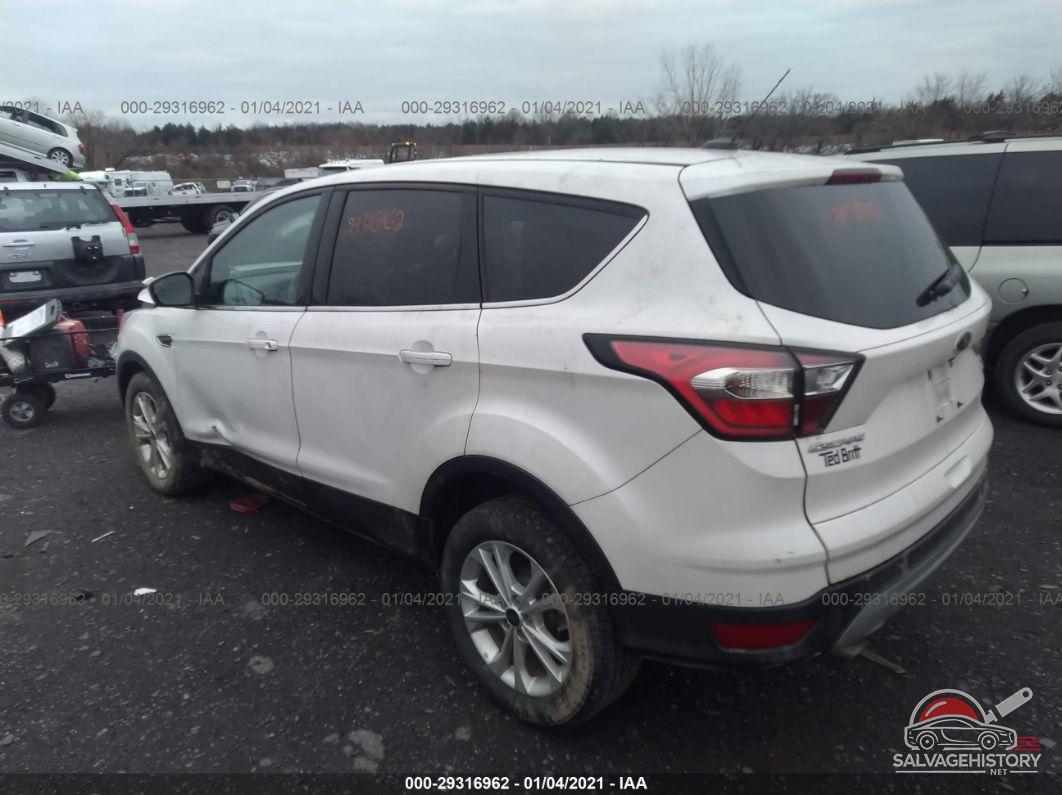 1FMCU0G91HUD35659 2017 FORD ESCAPE photo no. 3
