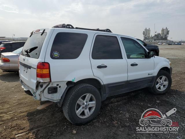 1FMYU96H66KD26533 2006 FORD ESCAPE photo no. 3