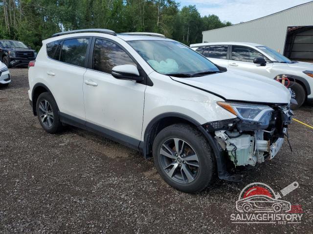 2T3RFREV3HW607547 2017 TOYOTA RAV4 photo no. 4