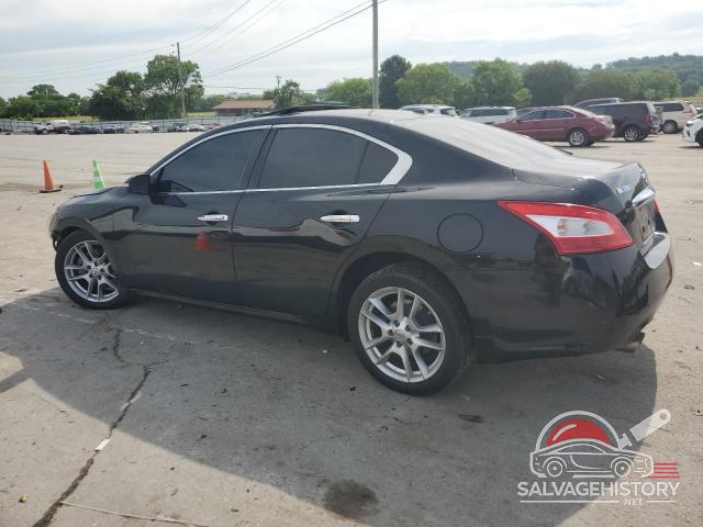 1N4AA5AP3BC853431 2011 NISSAN MAXIMA photo no. 2