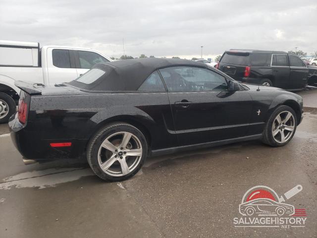 1ZVFT84N175254722 2007 FORD ALL Models photo no. 3