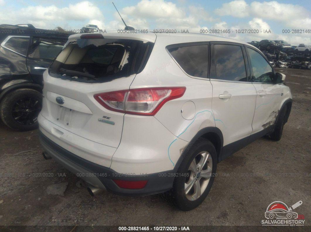 1FMCU0GX3FUB24927 2015 FORD ESCAPE photo no. 4