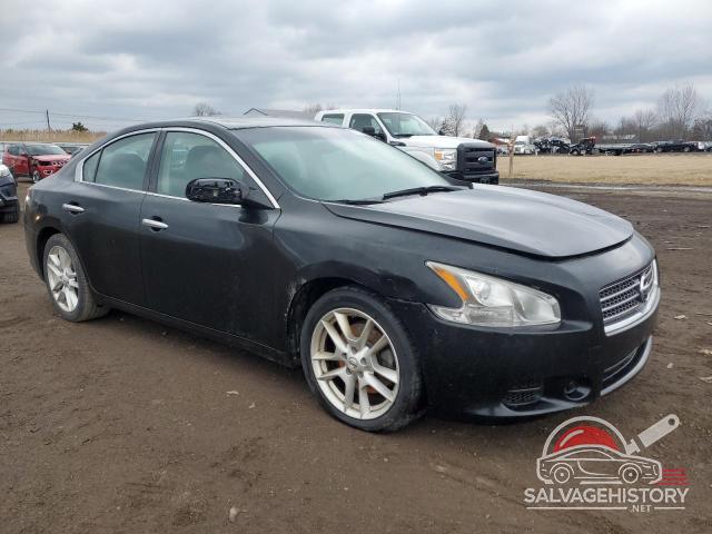 1N4AA5AP7BC835143 2011 NISSAN MAXIMA photo no. 4