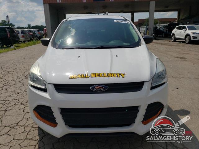 1FMCU0F77EUD33121 2014 FORD ESCAPE photo no. 5
