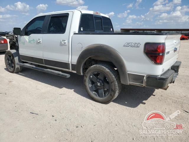 1FTFW1EV6AFA30038 2010 FORD F-150 photo no. 2