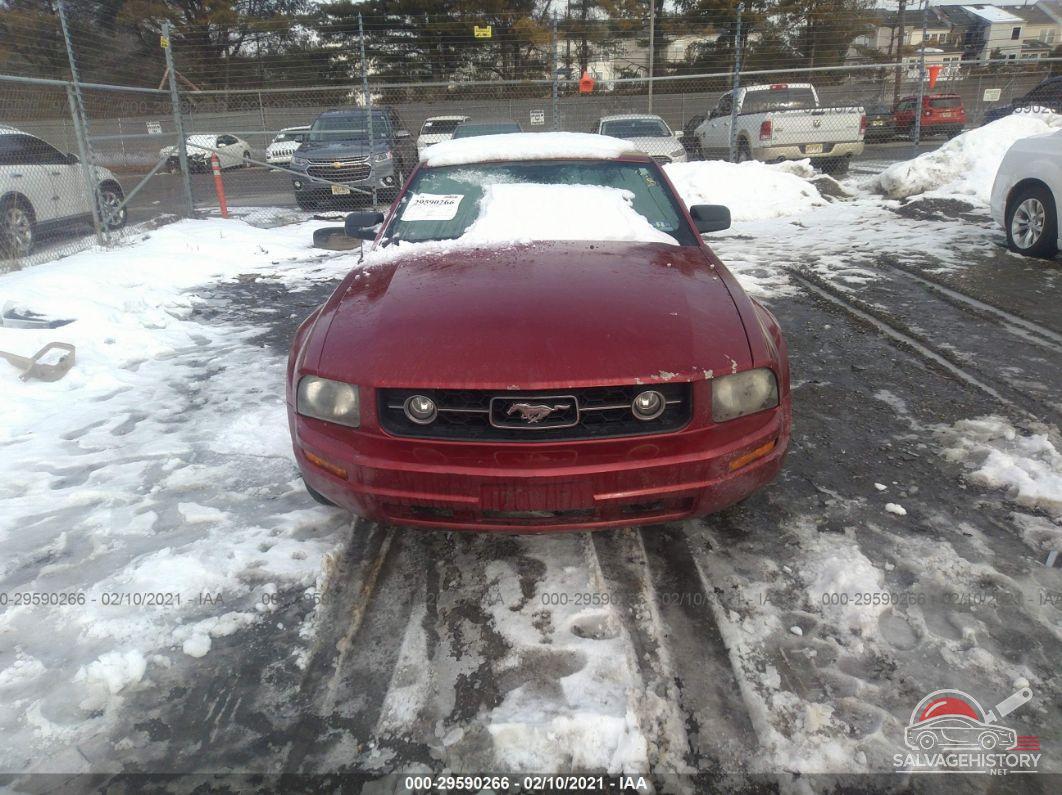 1ZVFT84NX55206083 2005 FORD MUSTANG photo no. 6