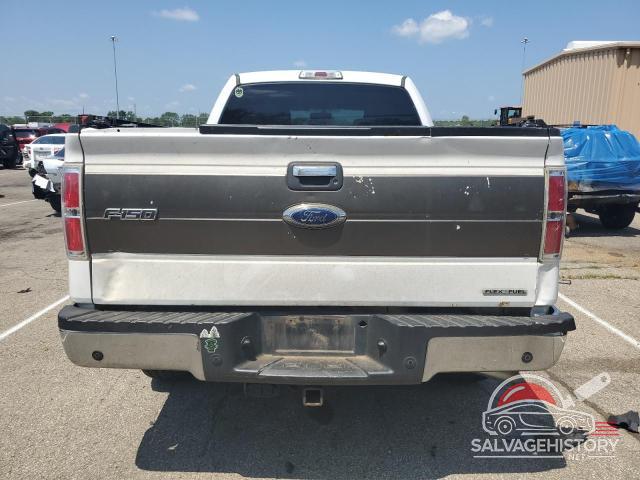 1FTFW1EF9DFB93229 2013 FORD F-150 photo no. 6