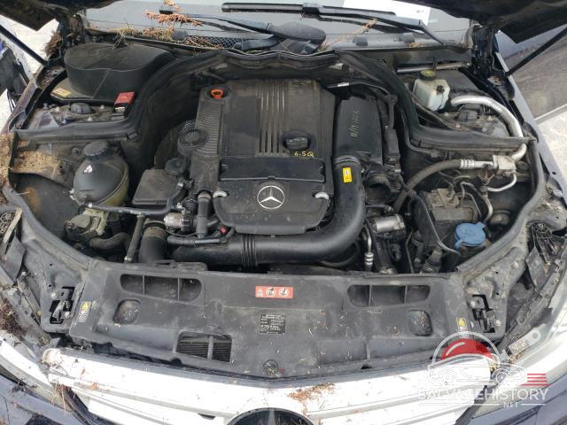 WDDGF4HB9DR277585 2013 MERCEDES-BENZ C-CLASS photo no. 11