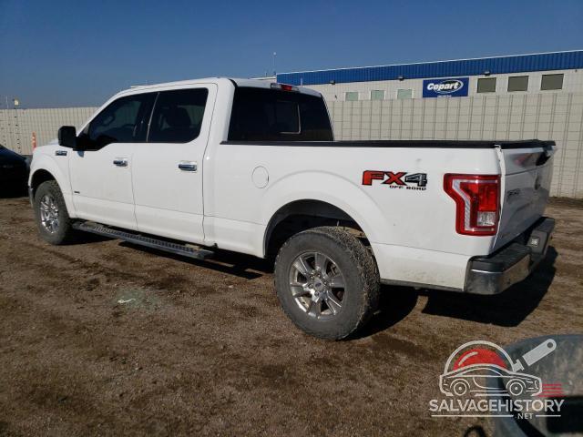 1FTFW1EG8HKD94433 2017 FORD F-150 photo no. 2